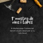 Aquest dissabte, 1a Mostra de Vi i Tapes a Mollerussa